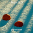 Sench New 2012