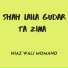 Niaz Wali Momand