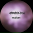 chobin3an
