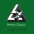 Andy Boy