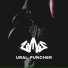 vИNs