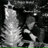 Project Broked