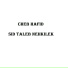 Cheb Hafid