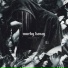 murky honey