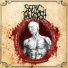 Septic Autopsy