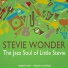 Stevie Wonder