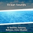 Shoreline Sounds, Ocean Sounds, Nature Sounds