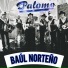 Palomo