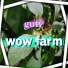 guty