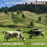 Fabienne Thibeault feat. Ciramarios