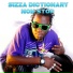 Sizza Dictionary