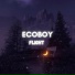 Ecoboy