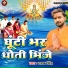 Raman Singh