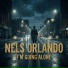 Nels Orlando