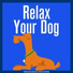 Relaxmydog, Dog Music Dreams