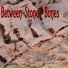 Between Stones Bones