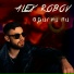 Алекс Робов