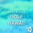 Hawaii Luau