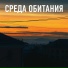 OSMIIINOG, podzemnii zvyk
