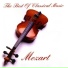 Chamber Armonie Orchestra