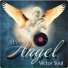 VICTOR SOUL