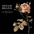 Dinah Brand
