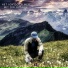 Tobias Frey feat. Oliver M. Richard