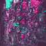 FXR LXVE