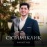 Али Боттаев