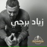 Ziad Bourji