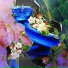 Gareth.T, asiatic.wav