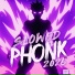 Phonk Like Crazy