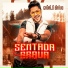Banda Cavalo Bravo
