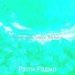 Рэгги Радио