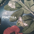 Fonetyka
