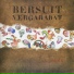 Bersuit Vergarabat