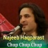 Najeeb Haqparast