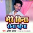 Ajit Andaj