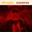 ELBSEGLER