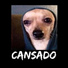 Velázquezz
