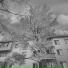 Skyfull