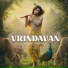 Vikram Nagi, Shubham Bali
