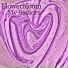 Flowerbloom