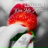 Lukulum