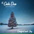 The Coda Duo, Brett Floyd, Christopher Jenkins