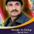 Murad Aseer