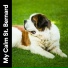 Sleeping Music For Dogs