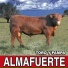 Almafuerte