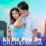 Arijit Dey, Ario