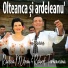 Rodica Mitran feat. Robert Târnăveanu